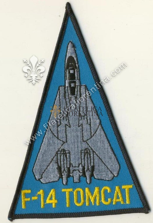 "F14 tomcat"