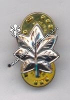 Grado ten.colonnello