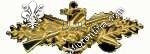 Brevetto seabees (oro)
