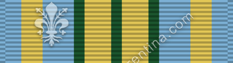 Outstanding Volunteer Service