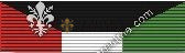 Liberation Kuwait Medal