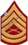 Gradi  GSGT in metallo nero per uniforme da combattimento