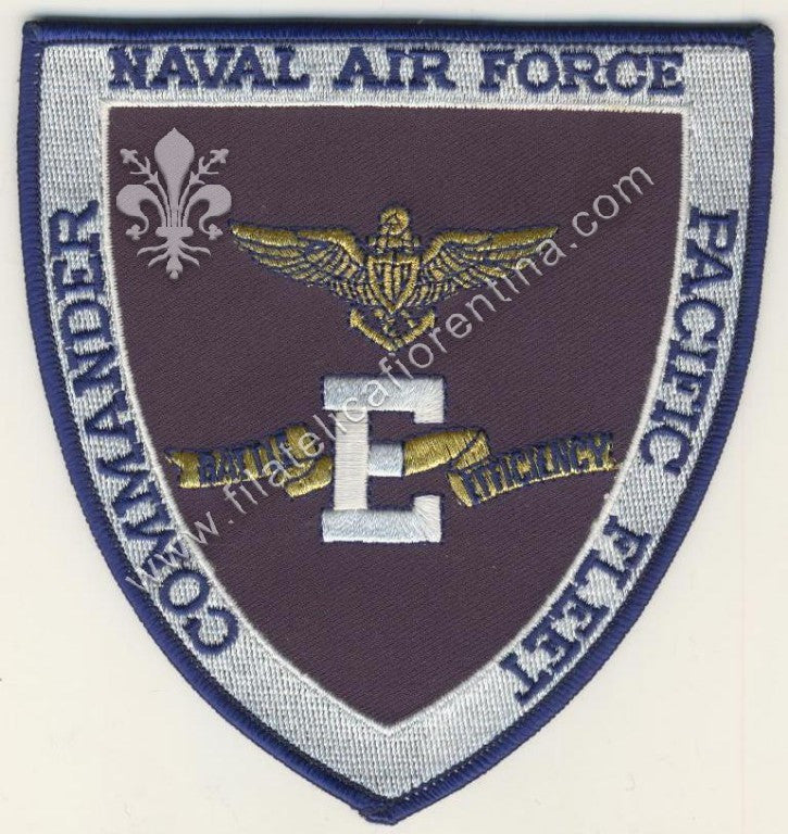 Naval Air Force "Commander Pacific fleet"