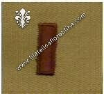 Gradi sottotenente (desert)