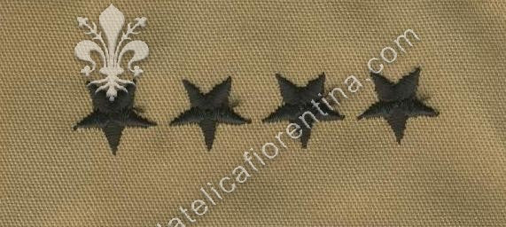 Gradi generale 4 stelle (desert)