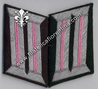 Mostrine ufficiale Carristi