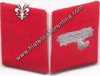 Mostrine SS italiane con fascio