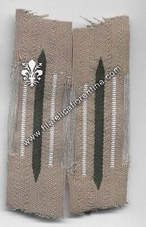 Mostrine fanteria (waffenfarbe bianco) mod. in seta