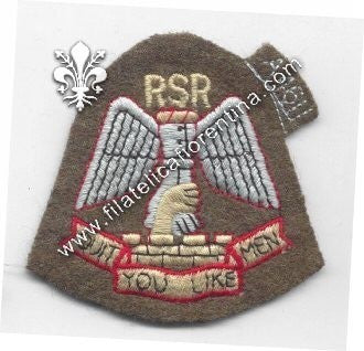 Distintivo Raiding Support Regiment