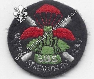 Distintivo Special Boat Squadron