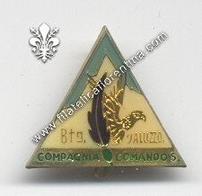 Distintivo della CP. COM. E SERV. - BTG. SALUZZO - mod. vetrificato