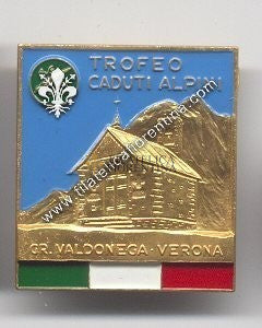 Distintivo A.N.A. - Gruppo Valdonega - Verona 1989 - Marcia Alpina 20^ Edizione 1989 Trofeo M. Balestieri