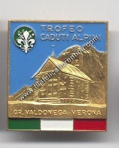 Distintivo A.N.A. - Gruppo Valdonega - Verona 1989 - Marcia Alpina 20^ Edizione 1989 Trofeo M. Balestieri