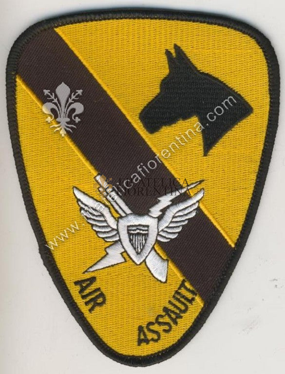 1° Air Cavalry "Air Assault"