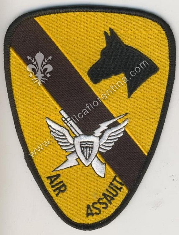 1° Air Cavalry "Air Assault"
