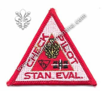 Distintivo CHECK PILOT STAN. EVAL. Mod. di panno.