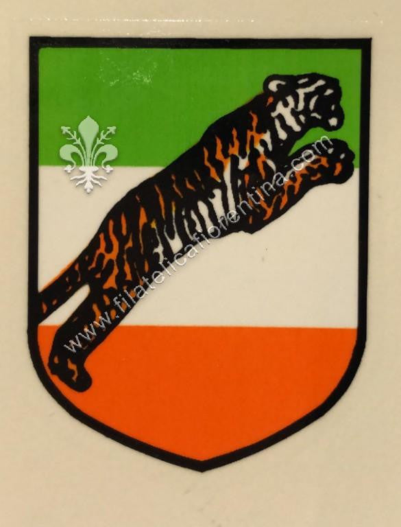 Volontari Indiani