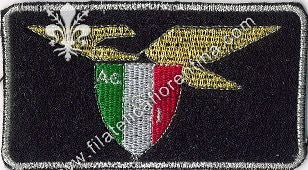 Aereo Club Italia