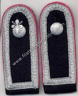 Sharfurer Reparti Corazzati (Waffenfarbe rosa) - con bottoni