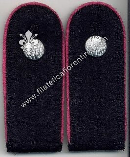 SS Schutze Reparti Corazzati (Waffenfarbe rosa) -  con bottoni