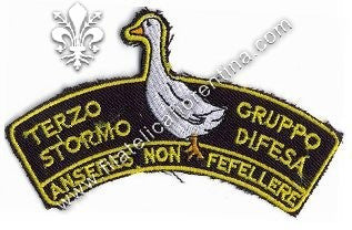 Terzo Stormo - gruppo difesa - Anseres non fefellere (nero)