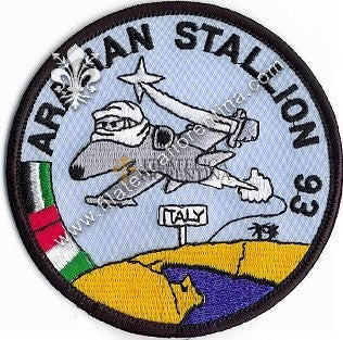 Arabian stallion 93