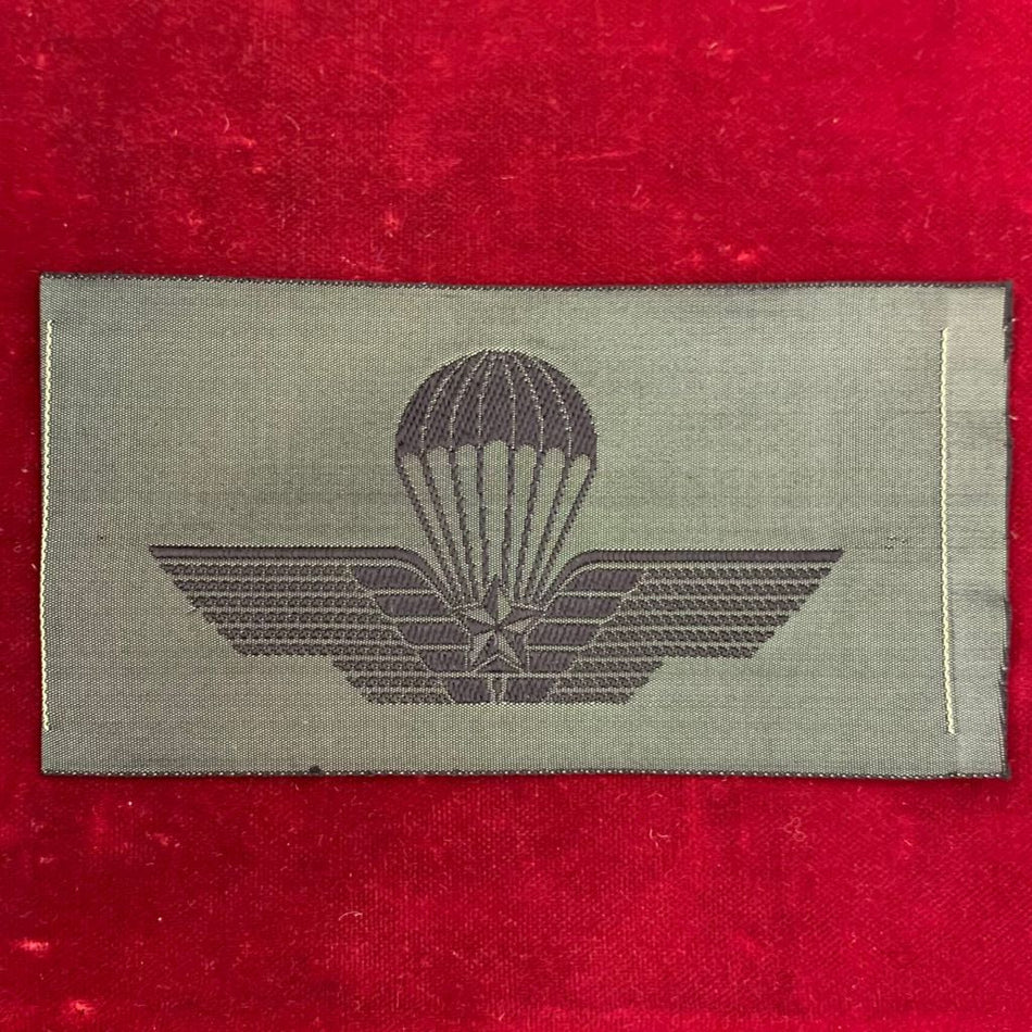 Brevetto mIlitare di paracadutismo