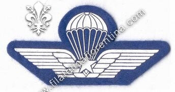 Brevetto militare di paracadutismo - in gomma bianco su azzurro