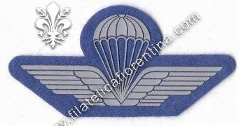 Brevetto di paracadutismo - in gomma grigio su azzurro