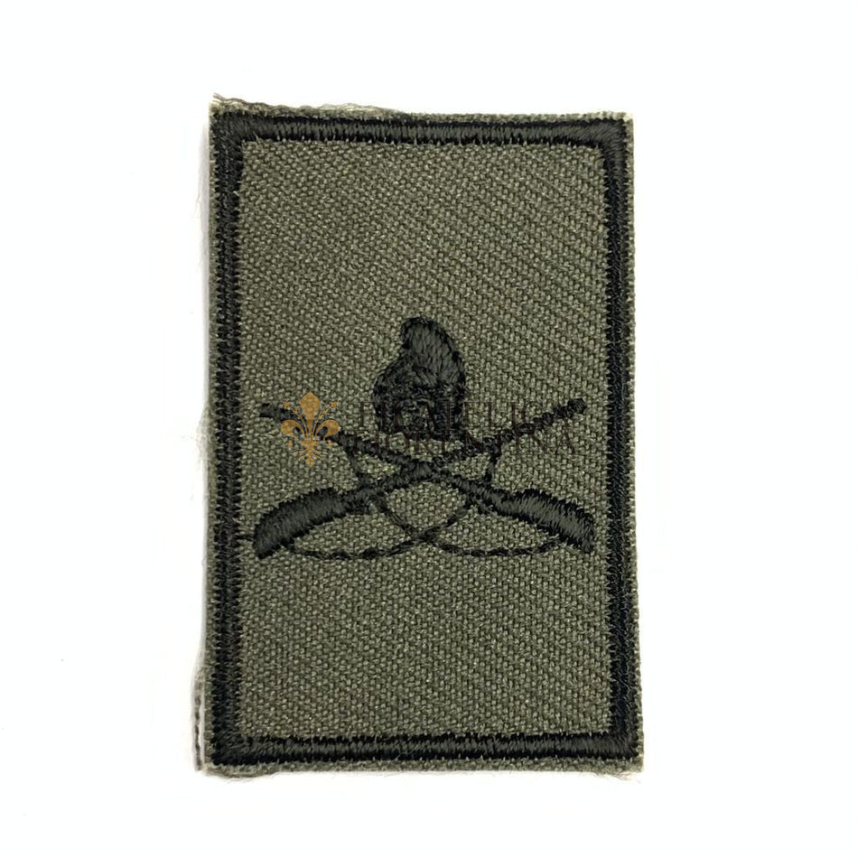 Distintivo per VFP - Volontario in Ferma Permanente