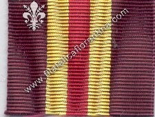 Nastrino Volontario Campagna di Spagna