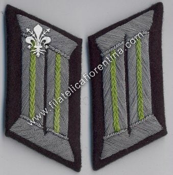 Mostrine ufficiale Panzergrenadiers